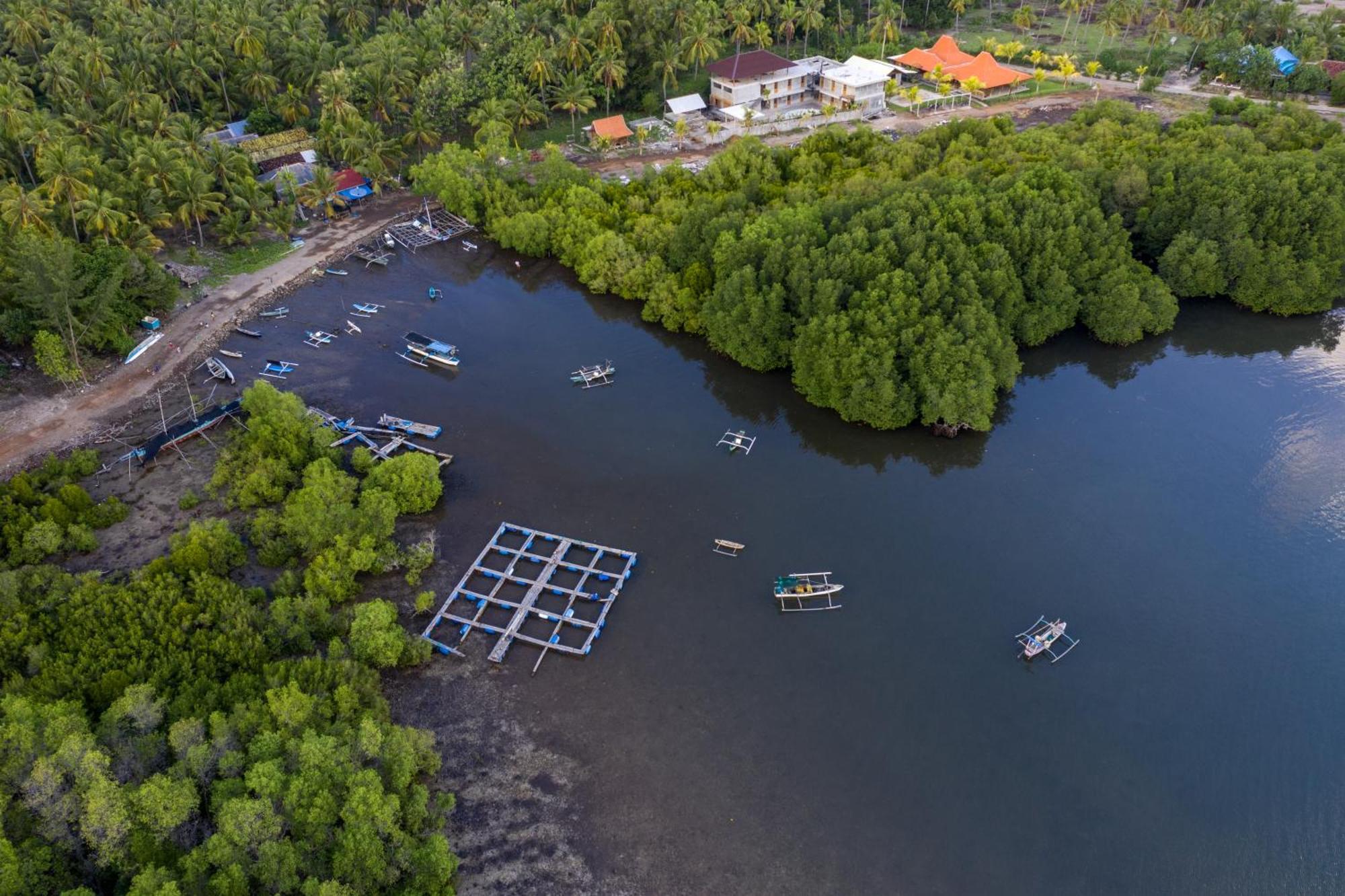 Mangroove Bay Boutique Hostel Banyuwedang Eksteriør billede